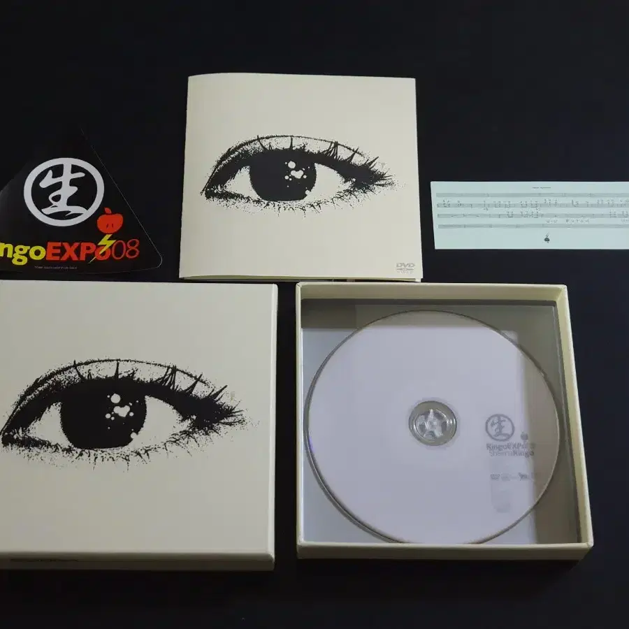 시이나링고 10주년 기념 라이브 공연 EXPO 08 DVD 영상 한정반