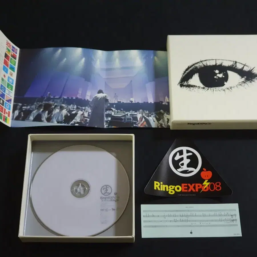 시이나링고 10주년 기념 라이브 공연 EXPO 08 DVD 영상 한정반