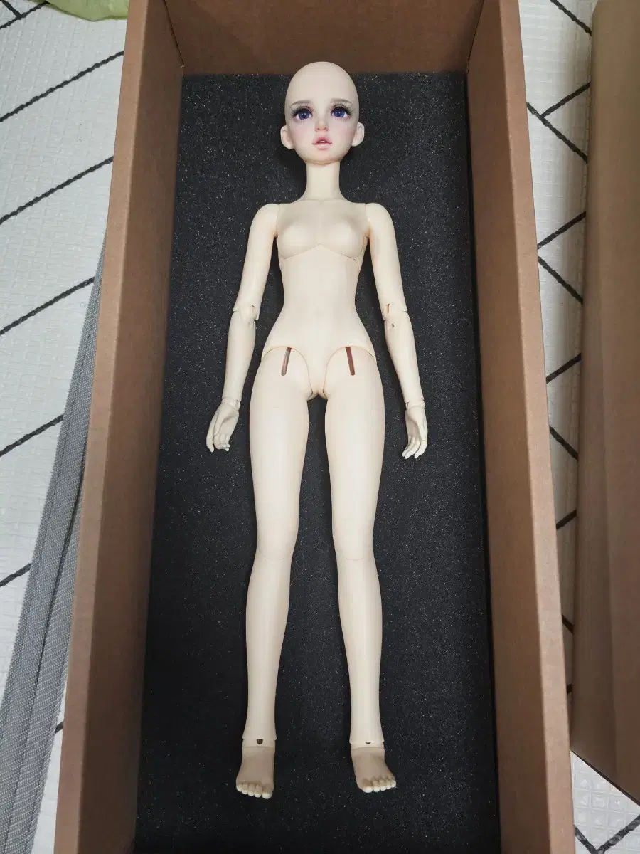 Spherical jointed doll MSD Normal Dolitz Eunsoo body to sell