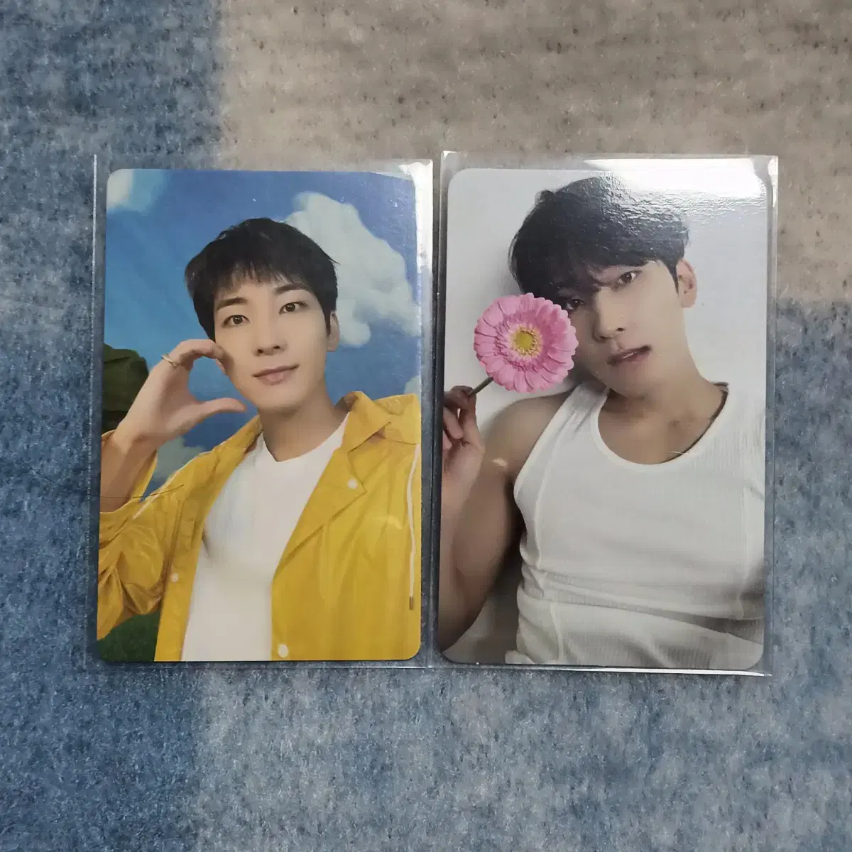 Seventeen Carat Vahn Deviation wonwoo photocard Bulk