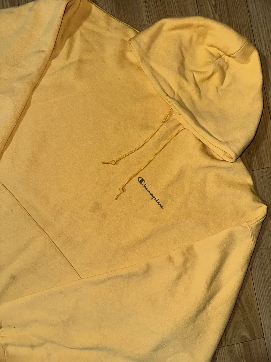 CHAMPION Champion Hoodie