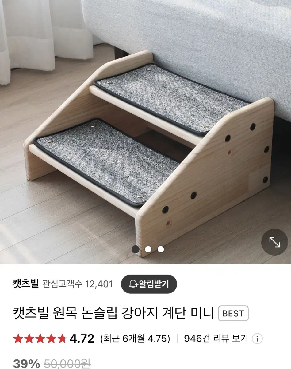 애견 계단