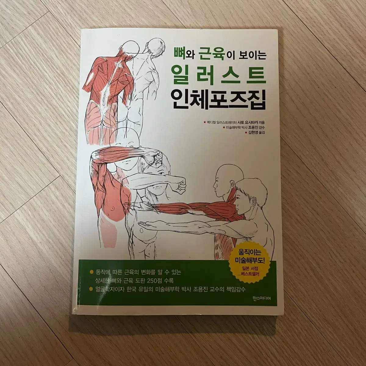 뼈와 근육이 보이는 일러스트 인체포즈집 드로잉책