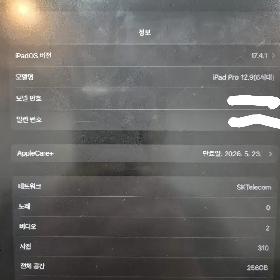 아이패드 프로 12.9 6세대 m2 256 셀룰러 매키 펜슬 애케플