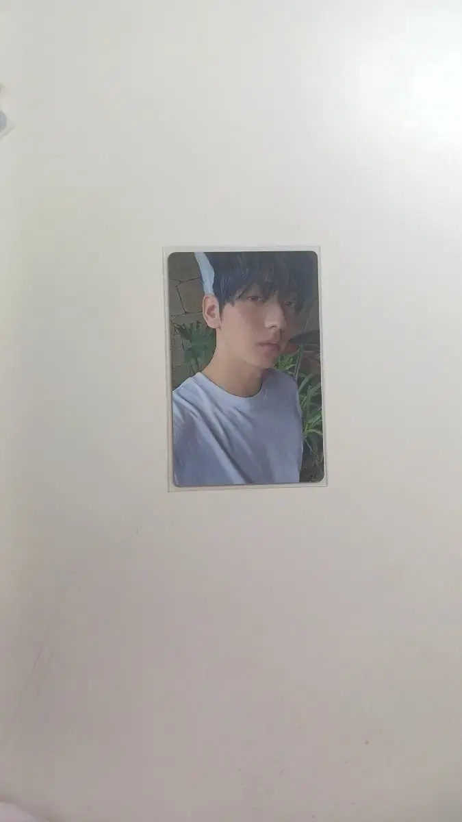 txt soobin choi soobin Sanctuary Angel photocard hueningkai Hooning yeonjun beomgyu Taehyun