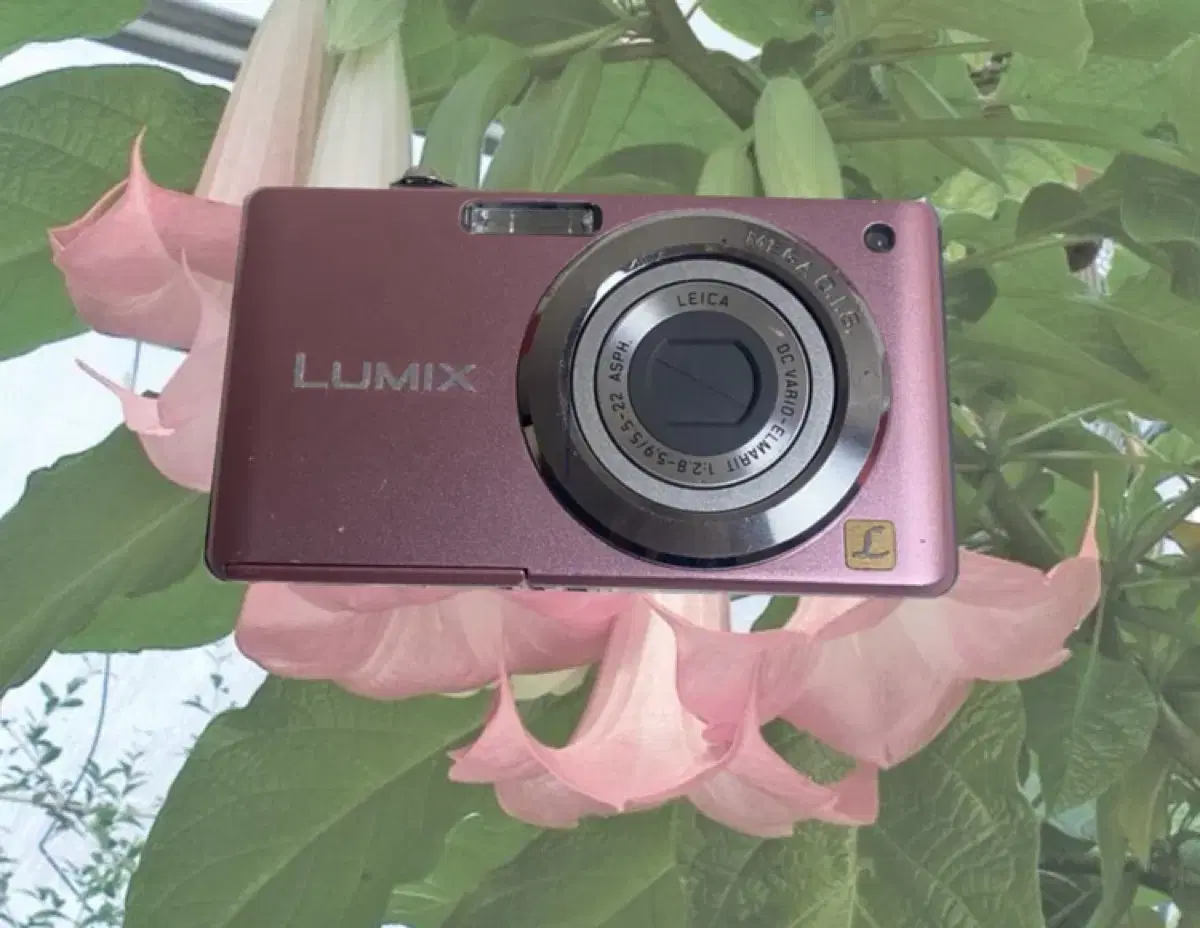 Lumix DMC-FS6 파나소닉