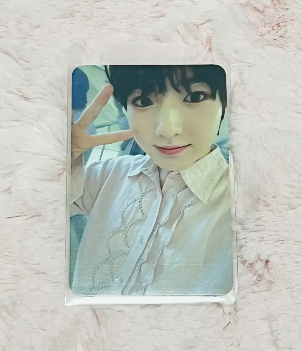 NCT Wish Sakuya with muu ld Photocard