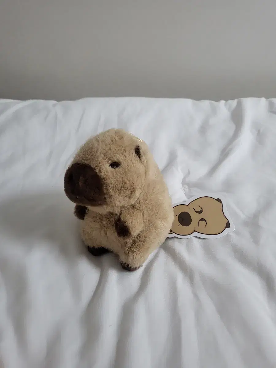 13cm Capybara doll keyring