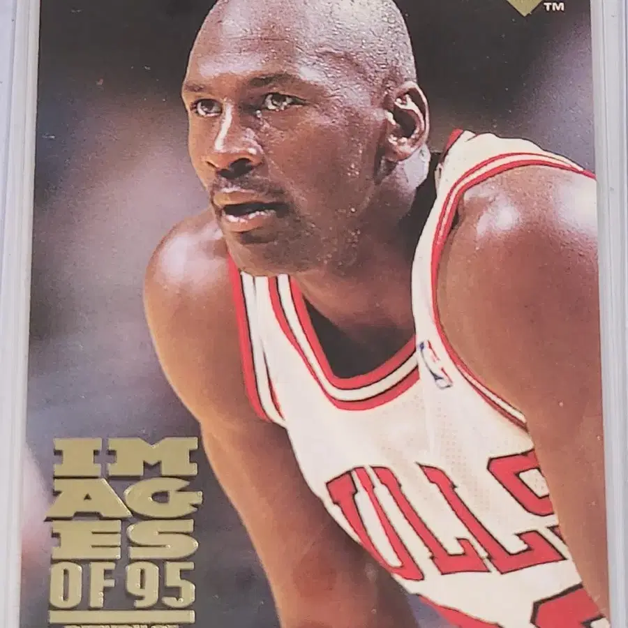 조던 마이클 고대 북미판 Michael Jordan 레어 카드 9장 농구