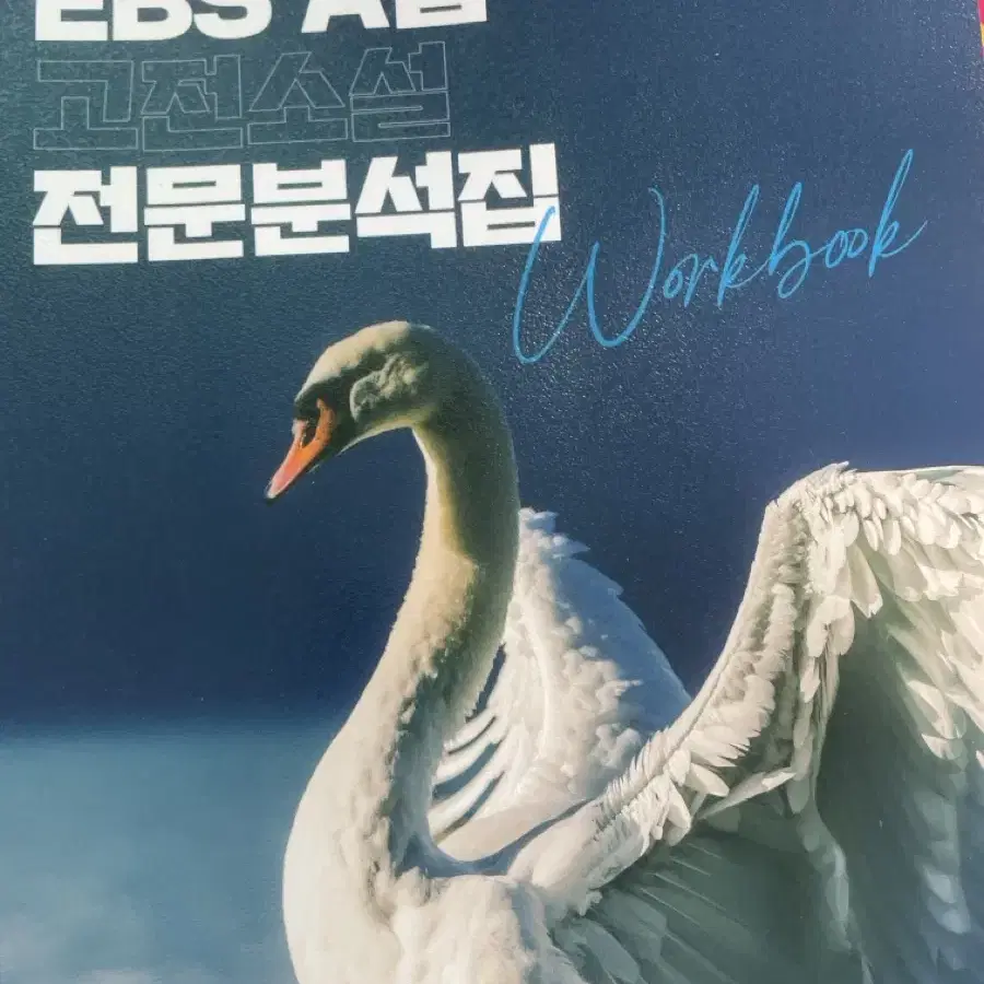 전형태 ebs a급 고전소설 전문 분석집