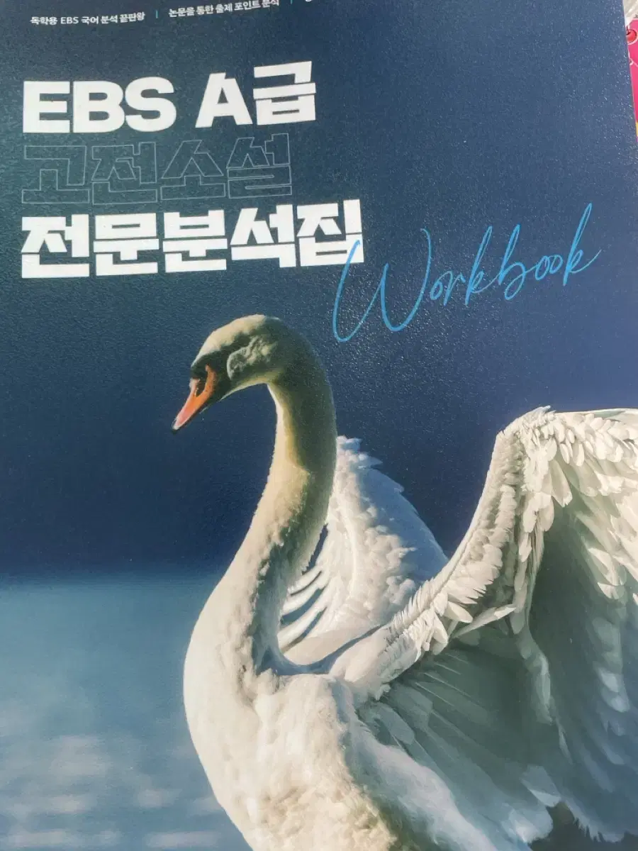 전형태 ebs a급 고전소설 전문 분석집