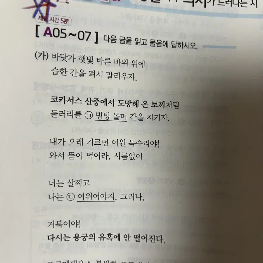 2025 자이스토리 문학 실전