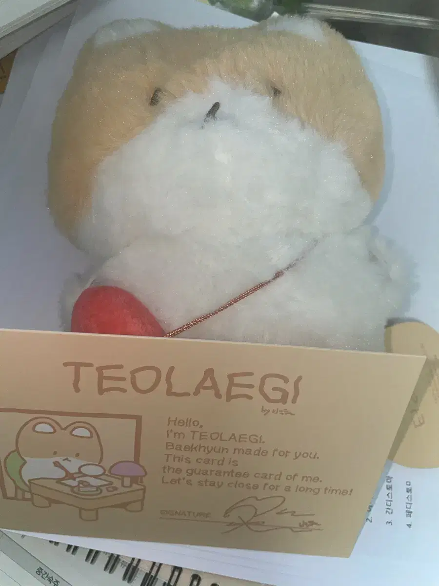 20 cm teolaegi