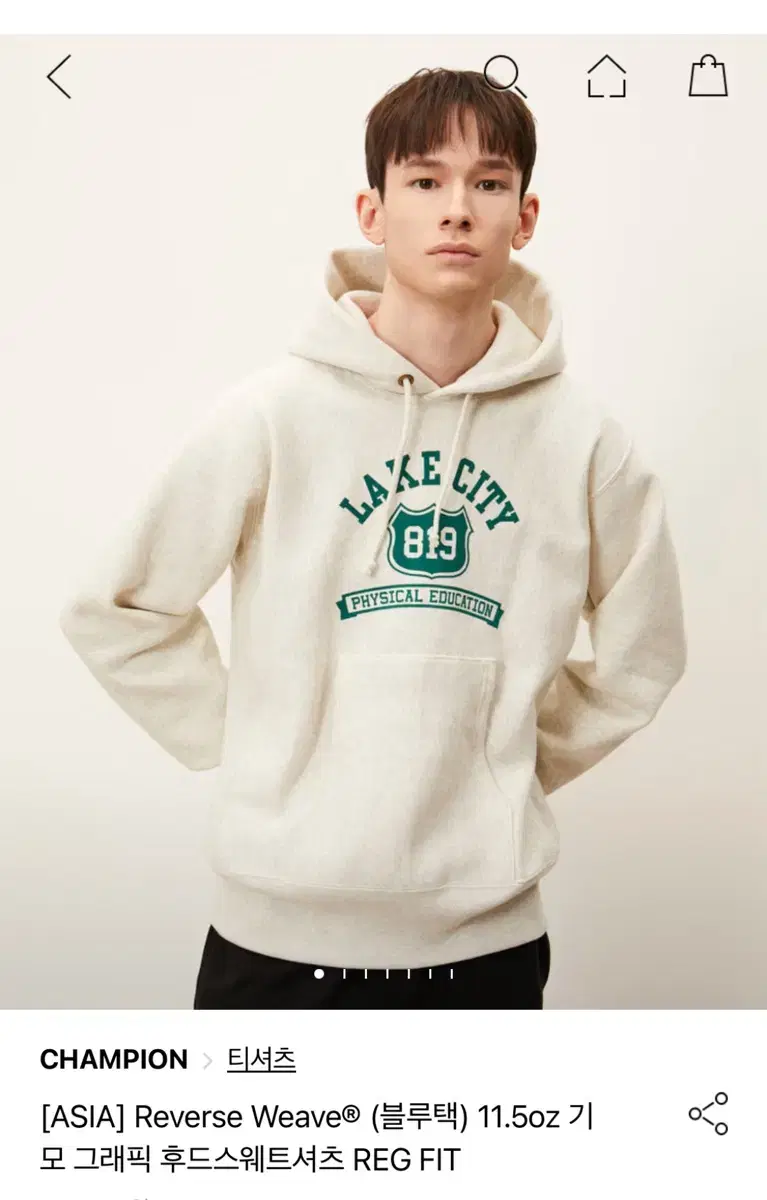 Champion Reverse Weave Brushed Graphic Hoodie