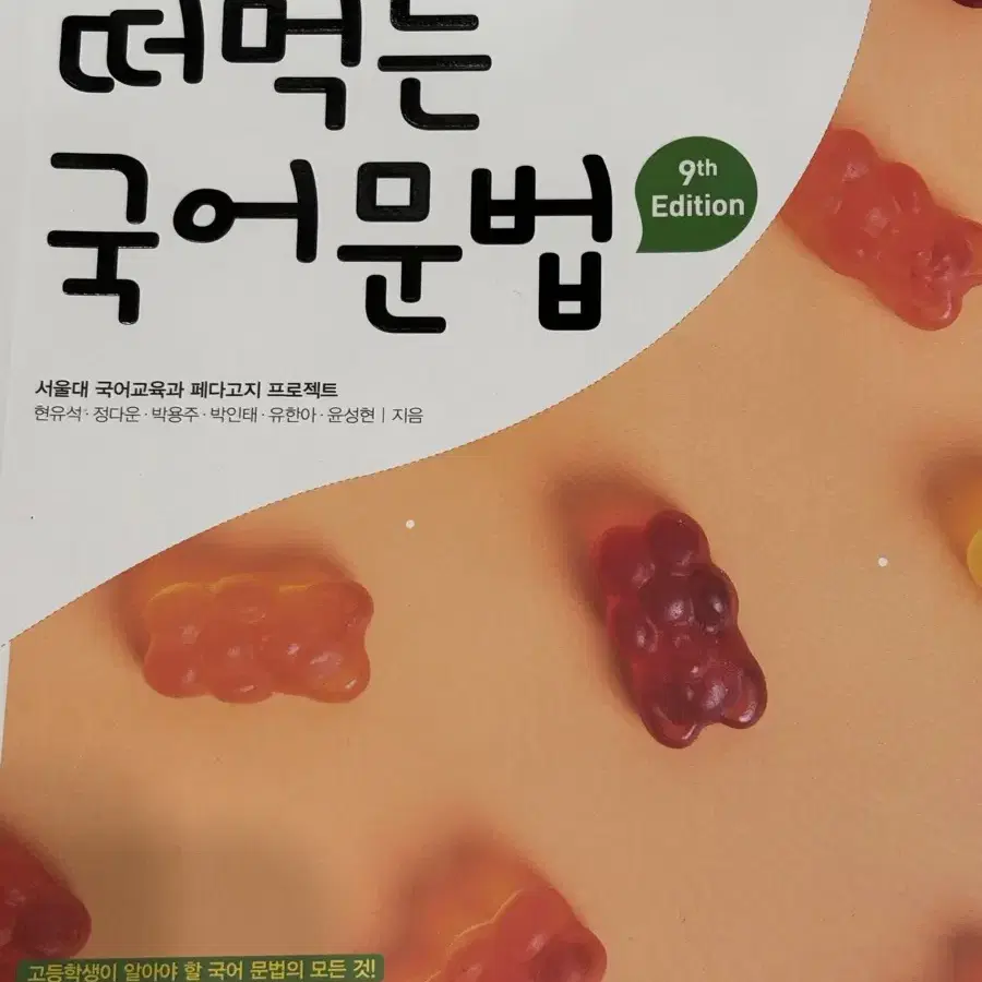 떠먹는 국어문법 (새 책)