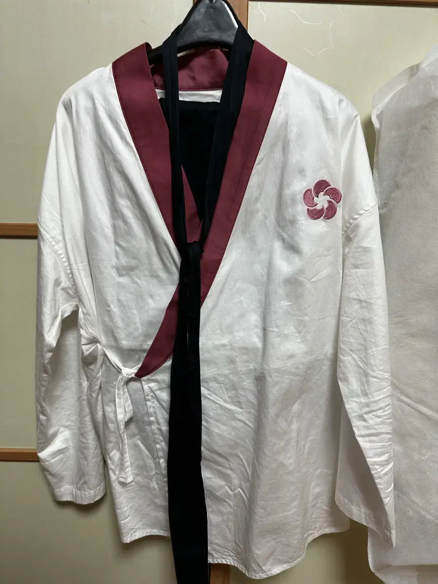 Return of the Blossoming Blade Robe