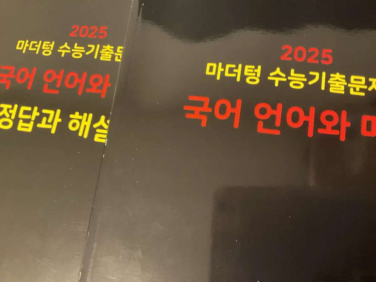 마더텅 검은책 언어와 매체 2025