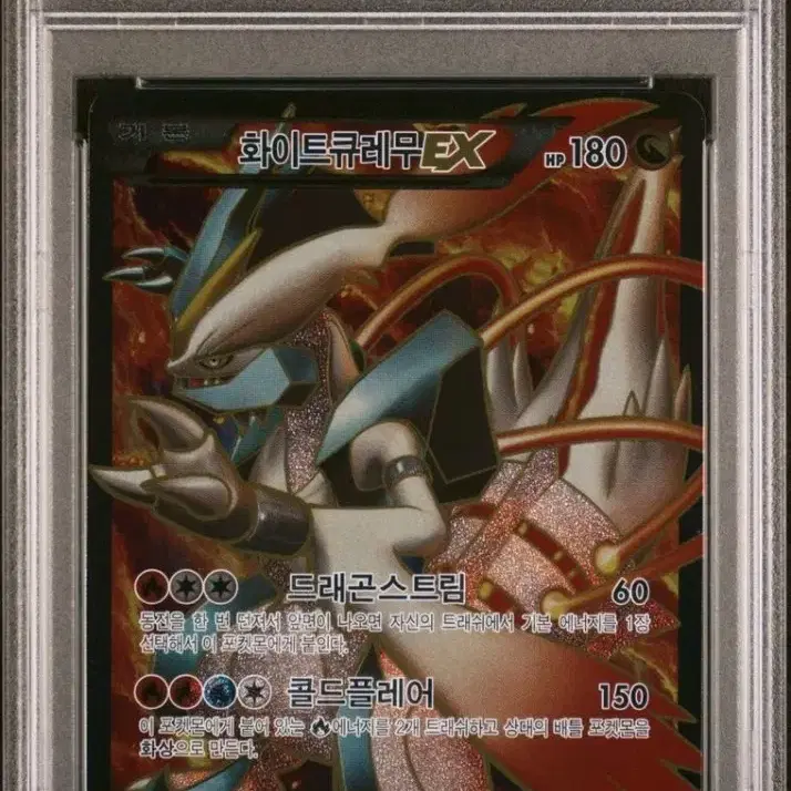 포켓몬카드 bw 화이트 큐레무 ex psa10