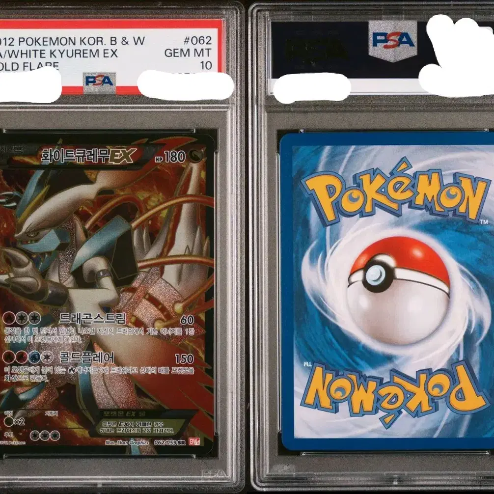 포켓몬카드 bw 화이트 큐레무 ex psa10