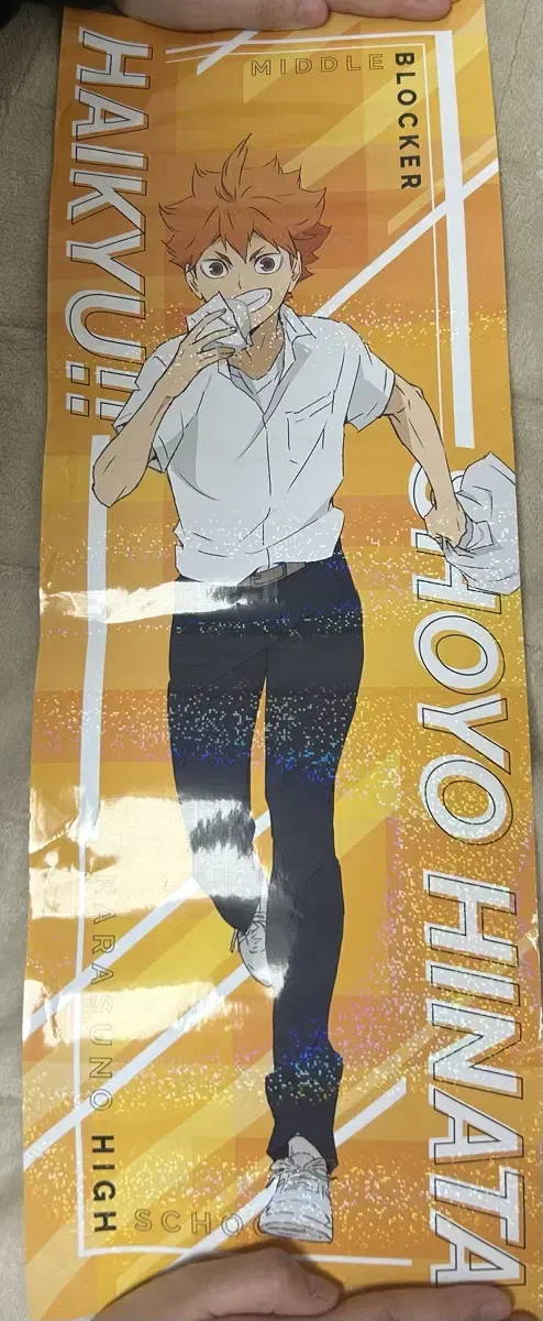 Haikyuu!! Morisuke Yaku, hinata Shoyo poster sells