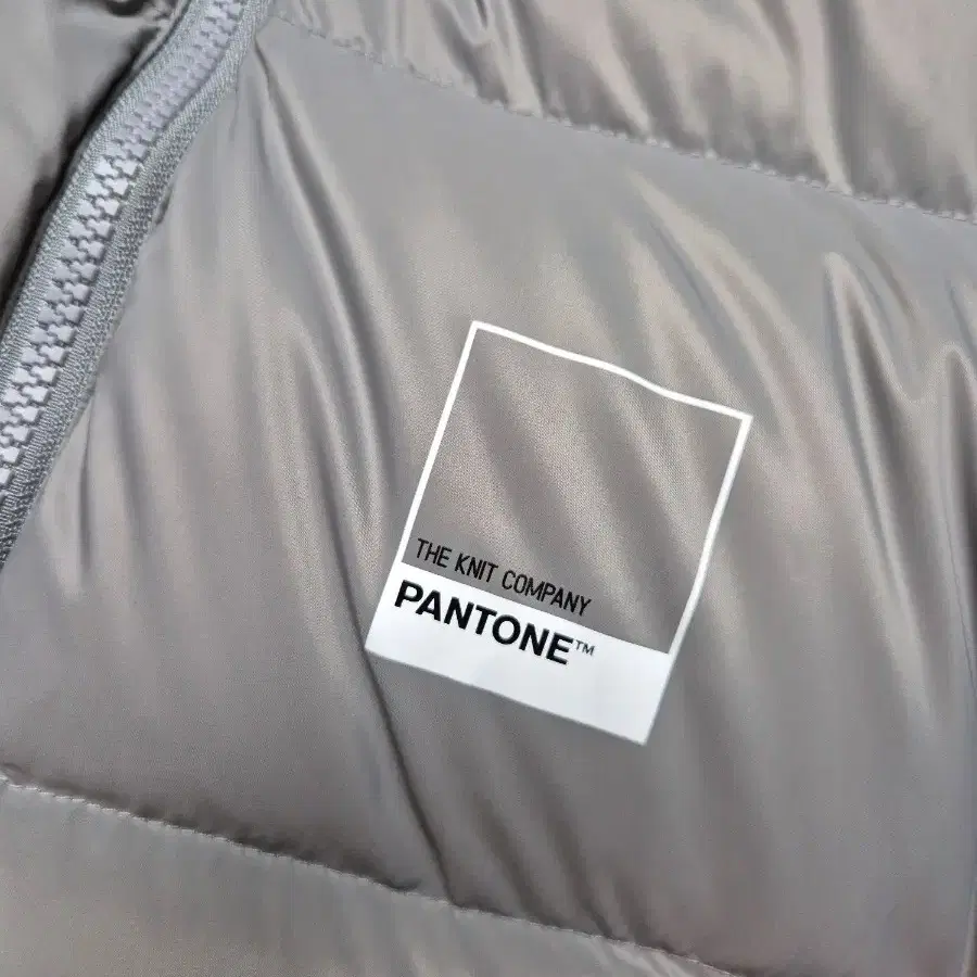 PANTONE 콜라보 라이트 숏다운 패딩