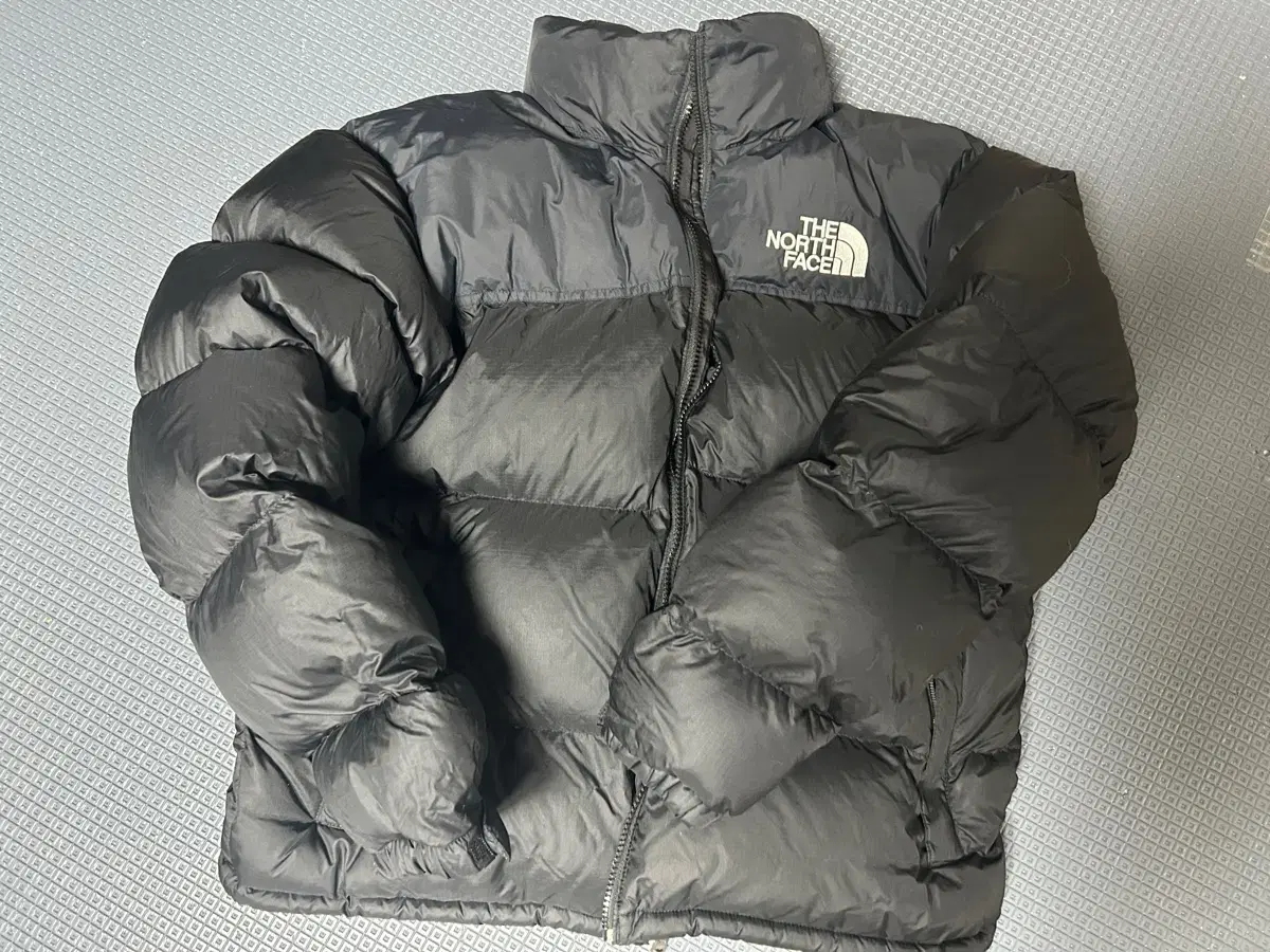 The North Face Nopsey L size