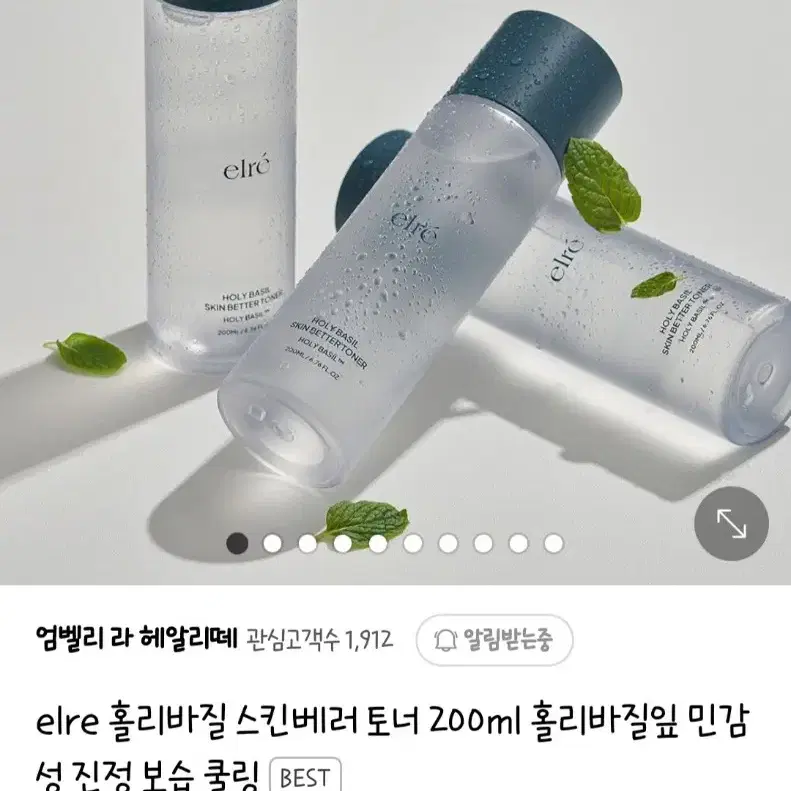 홀리바질 스킨베러 토너 (설은미 토너)