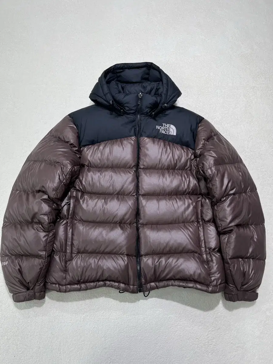 The North Face 700 Noosh Puffer Down Padding Brown 105