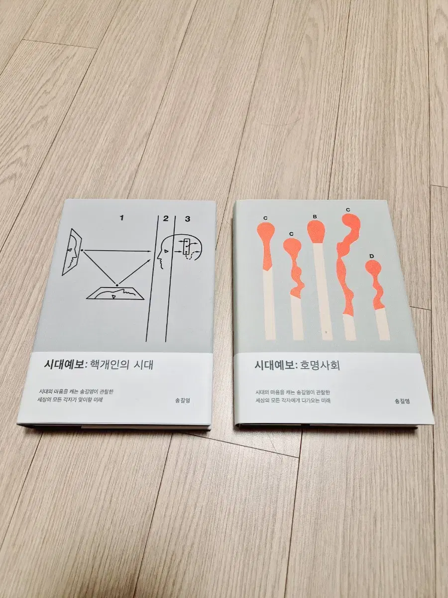 시대예보 호명사회, 핵개인의시대 일괄(반택포함)