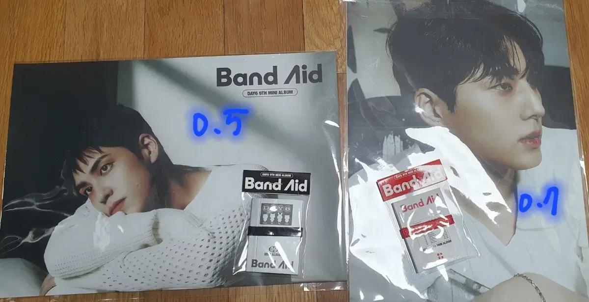 Day 6 BandAid Pre-Order Benefit Poster Mini Photobook0 Young K Original