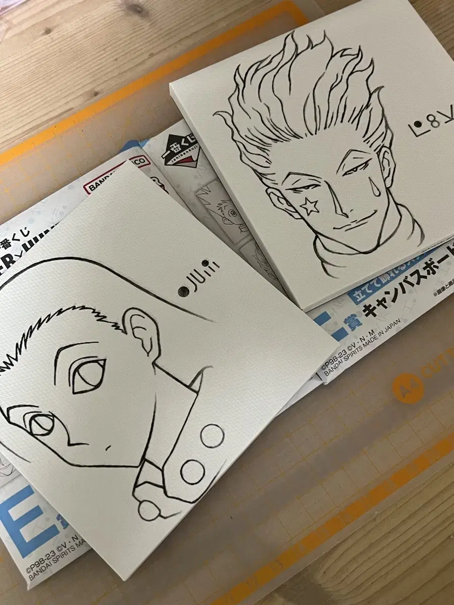 Hunter x Hunter Dedication First Lottery Kuji E Prize Canvas Hisoka Irmi wts Sells