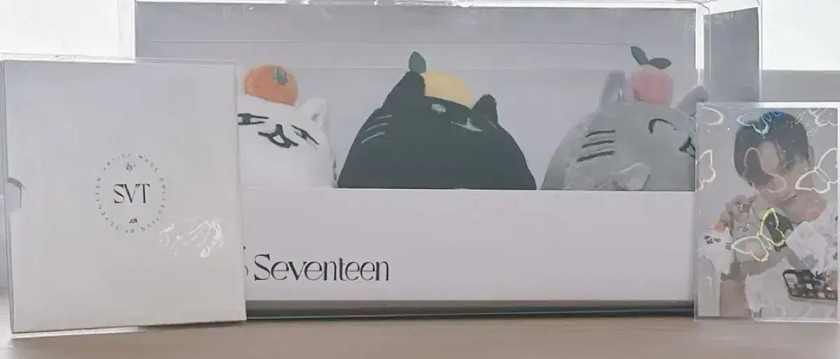 세븐틴 준 열닫잠 포토카드 양도