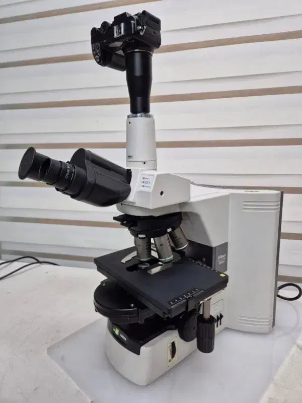 Nikon Eclipse 80i Microscope 현미경