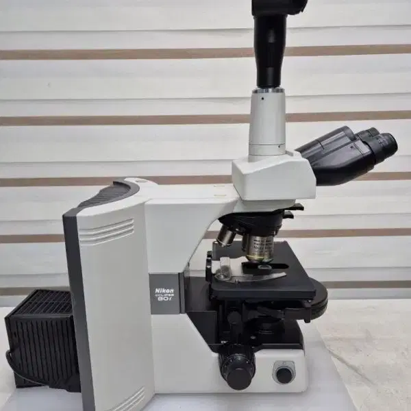 Nikon Eclipse 80i Microscope 현미경