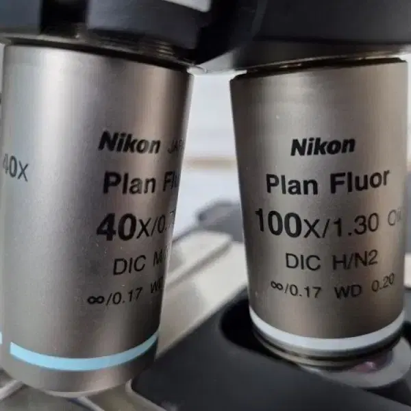 Nikon Eclipse 80i Microscope 현미경