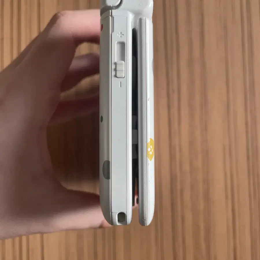 닌텐도 3DS XL 동물의숲 에디션