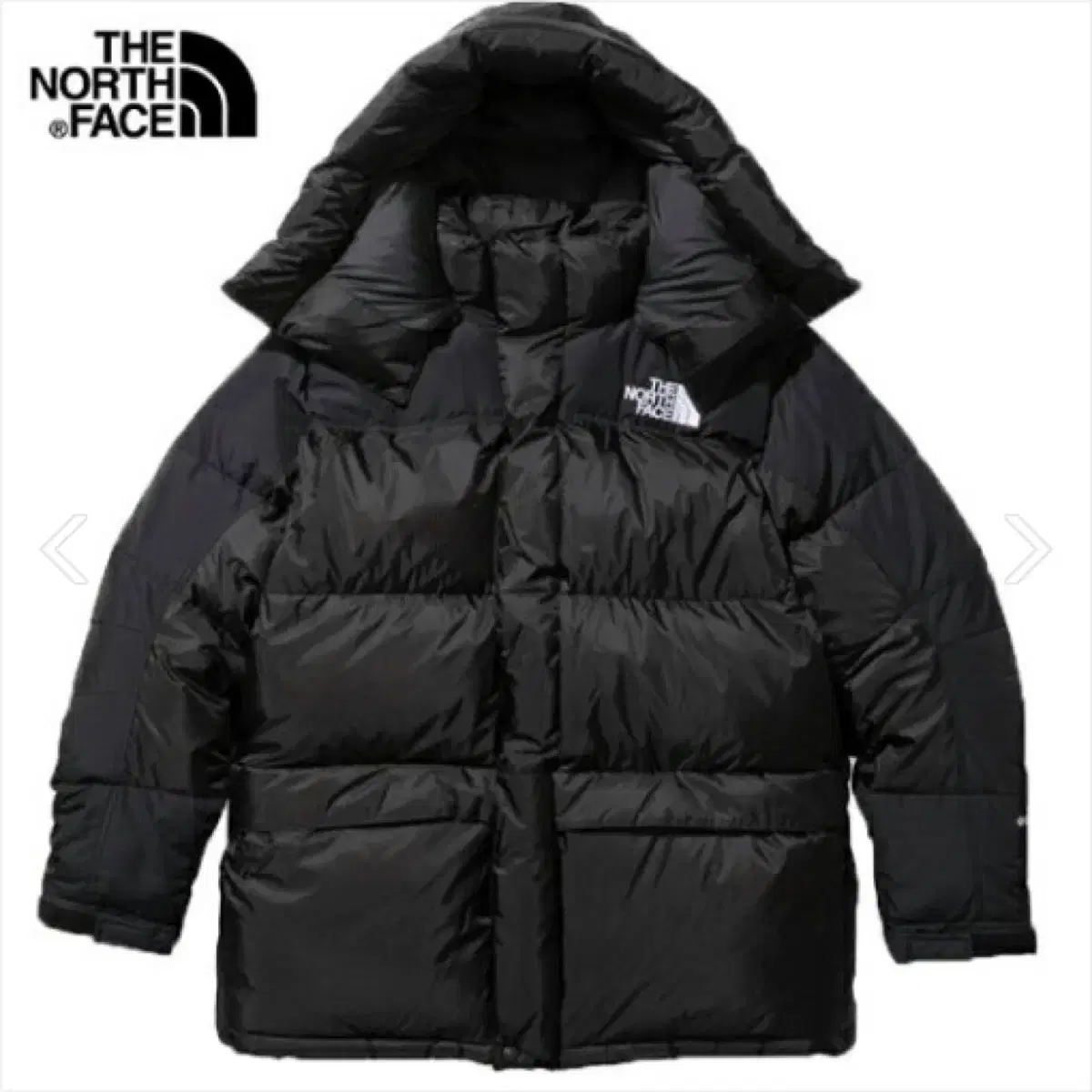 The North Face Powerdown L New in Japan