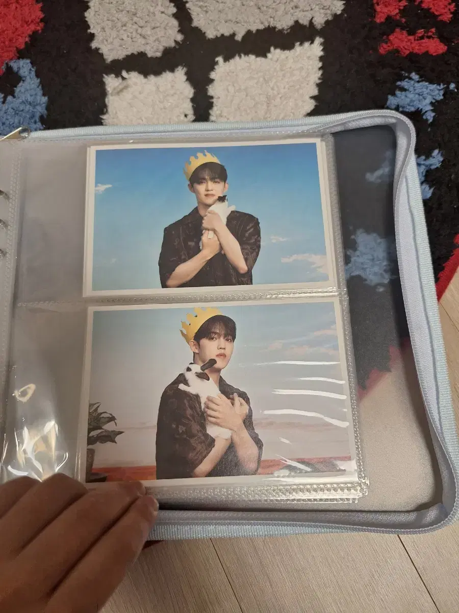 Seventeen Depesta Postcard Set