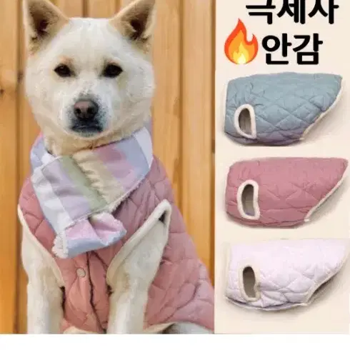 강아지 경량패딩조끼 신제품 (미사용)