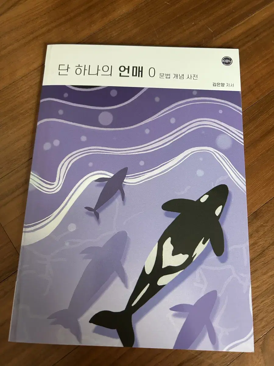 강은양(김은양) 단 하나의 언매00 문법 개념 사전