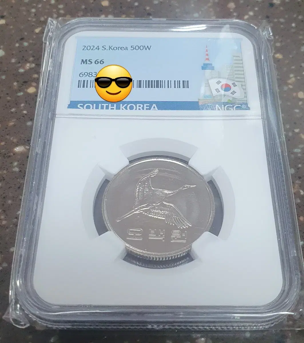 2024년 500주 NGC MS 66