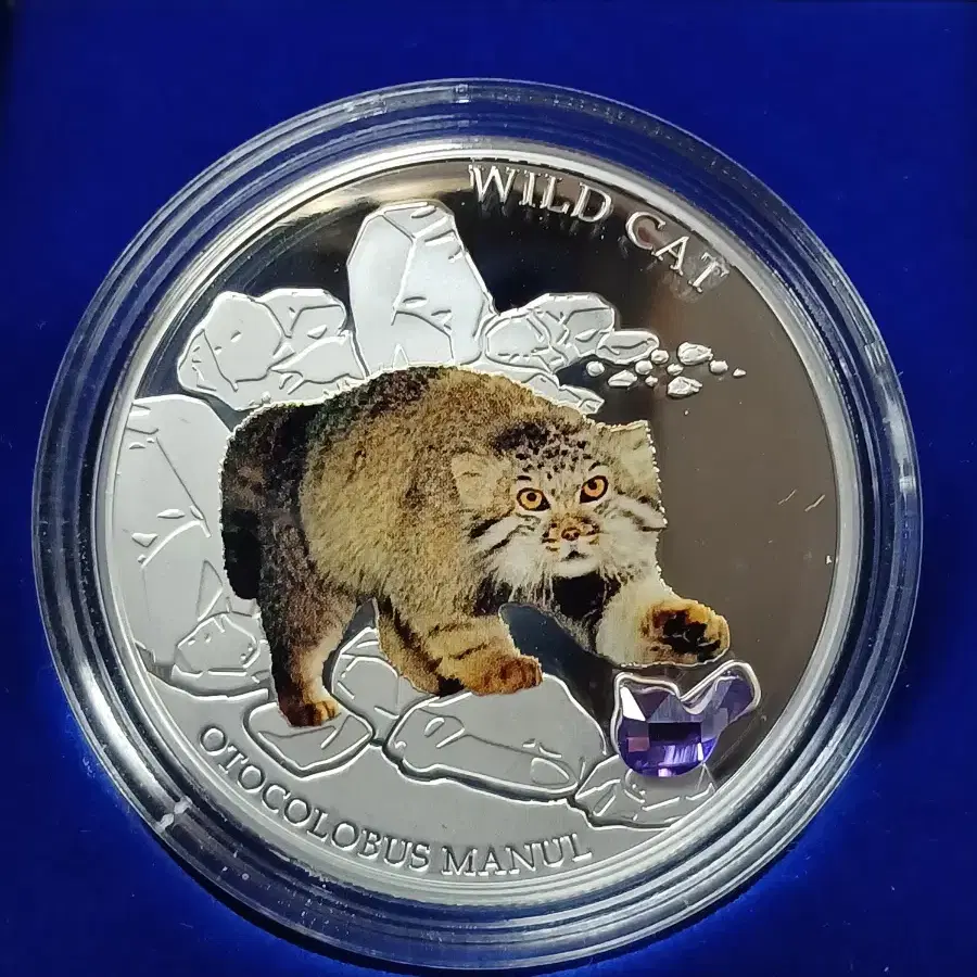 2013년 피지 마눌들고양이 GEMSTONE 1oz 프루프 한정판 은화