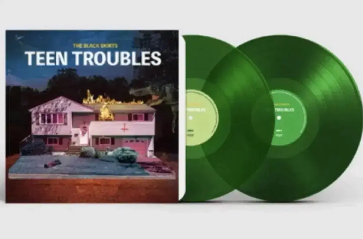 검정치마 lp teen troubles 정가양도