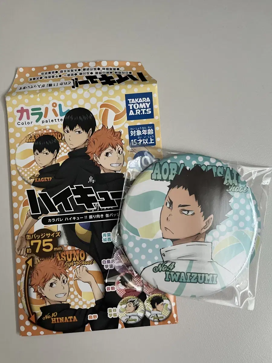 Haikyuu Canbadge Iwaizumi