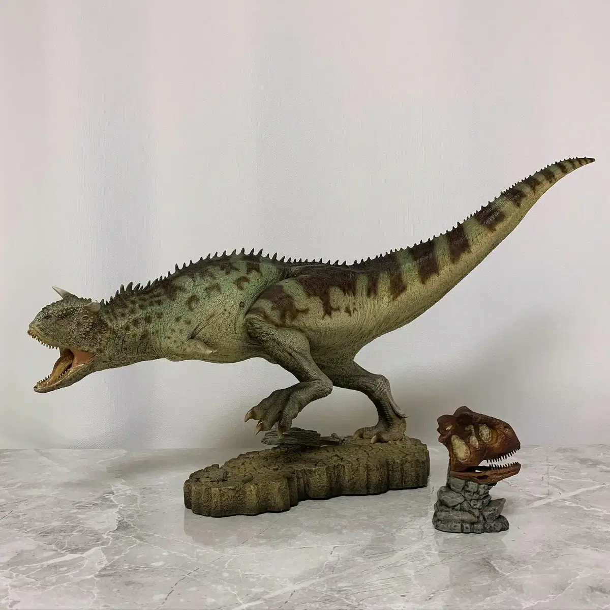 Sideshow Dinosaurosaurus Carnotaurus Old Version EX Version Dinosaur Stechu