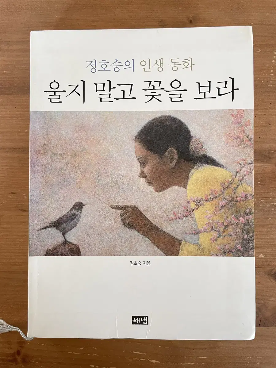 울지 말고 꽃을 보라 : 정호승의 인생동화