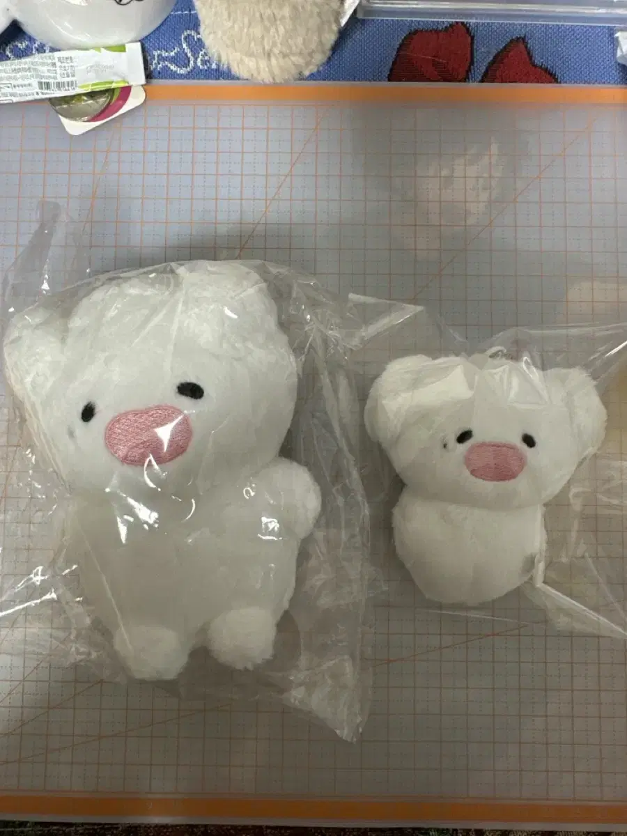 (주말만가격내림)형아젠멍이 동생젠멍이
