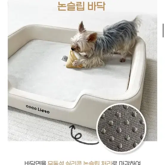 강아지침댜