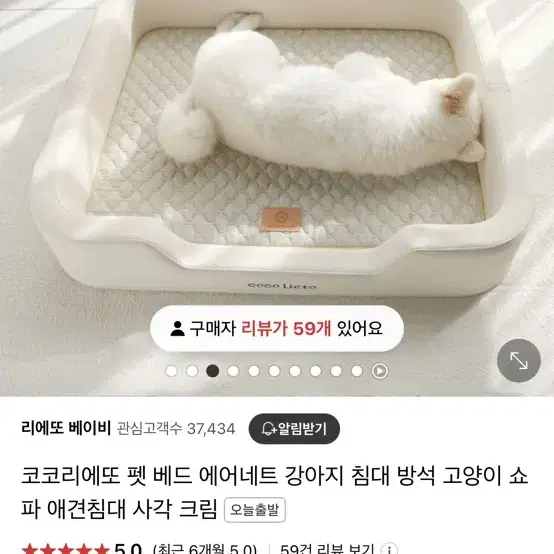 강아지침댜