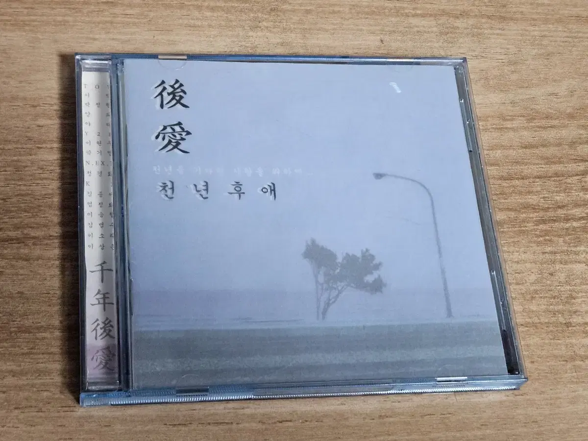 천년후애 (CD)